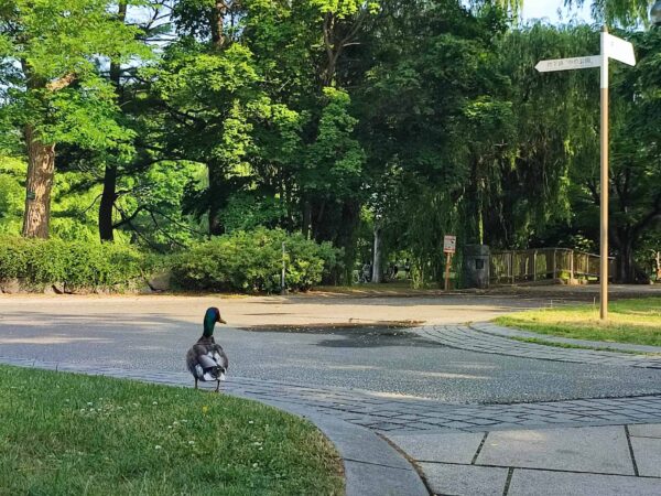 右だったような・・・