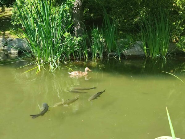 気付かれないように・・・