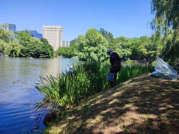 さてさて・・・