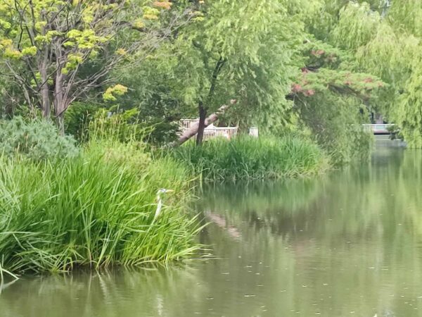 ずっと立ちっぱなし。