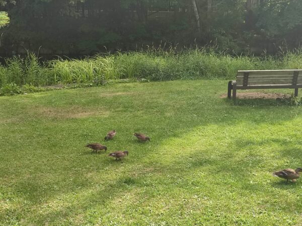 あー、いそがしい。