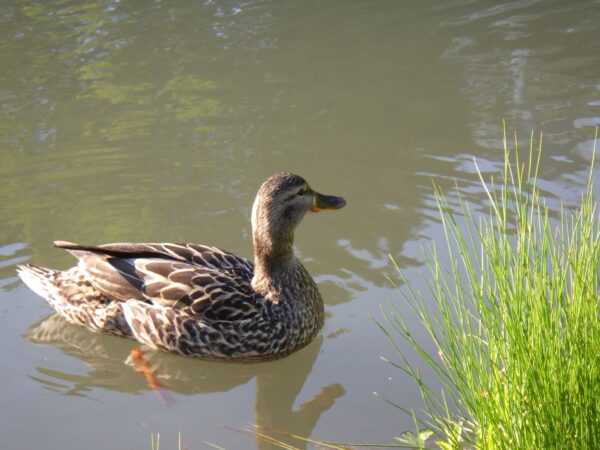 今日もいい仕事したー