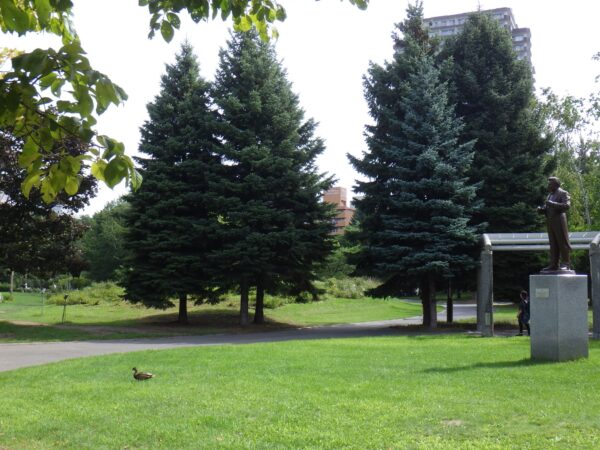 ネタを探しに行ってきますぅ