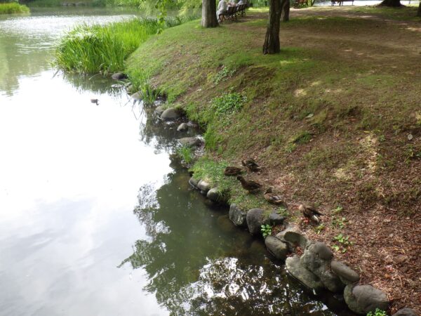 どこにいるでしょうか。初級編。