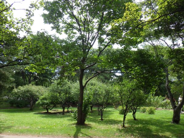 どこにいるでしょうか。超上級編。