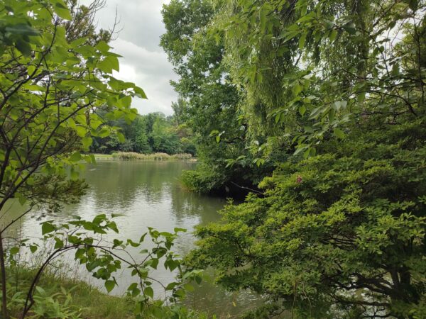 わたしはどこでしょう？