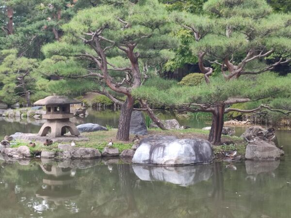 夢の島へようこそ。