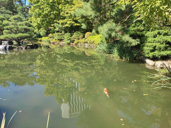 なんでかしらねー