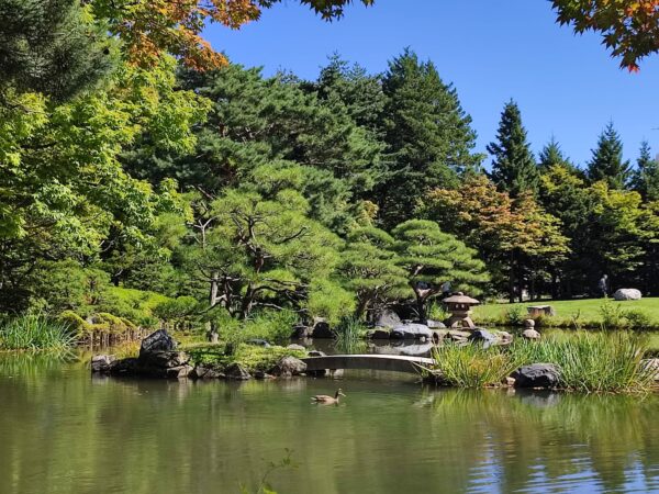 今日は誰もいないよー。