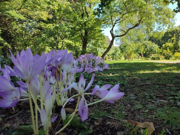 食べたら腹筋。