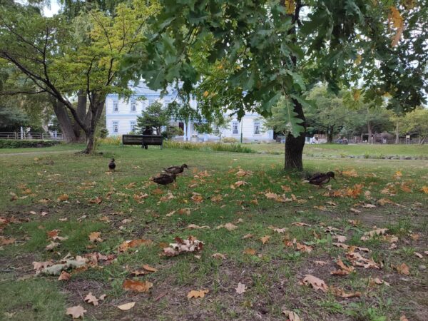 秋のグルメツアー