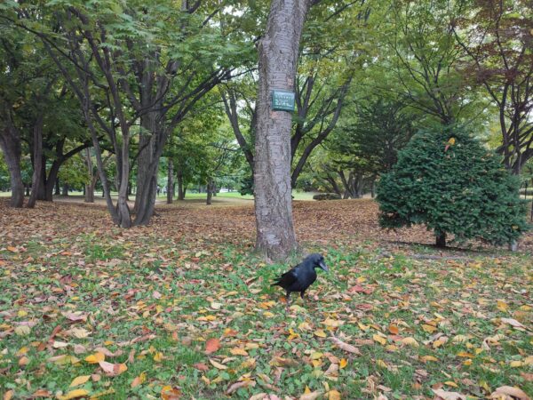 朝からびっくり。