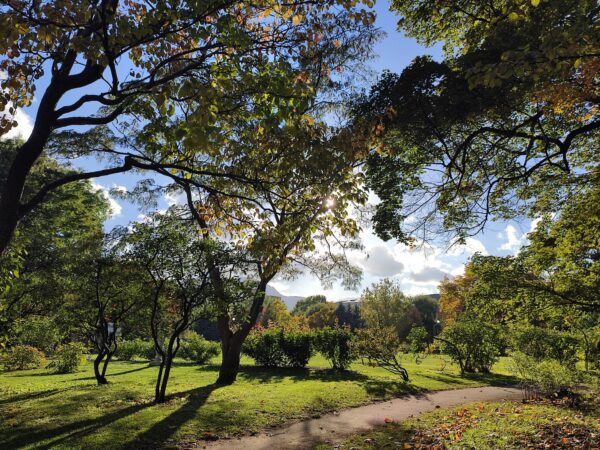 香りの広場のまわり5