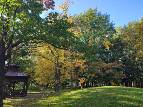 香りの広場のまわり4