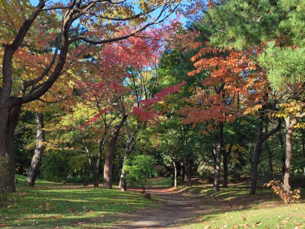 香りの広場のまわり1