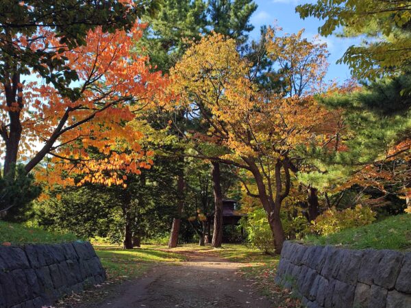 香りの広場のまわり2