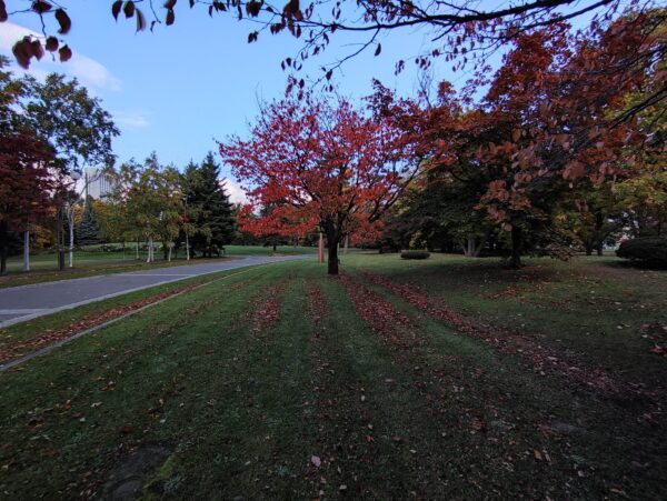 こっちもまっすぐー