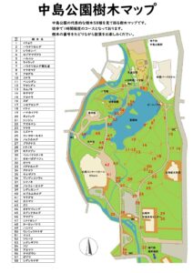 樹木マップ（R7最新版）
