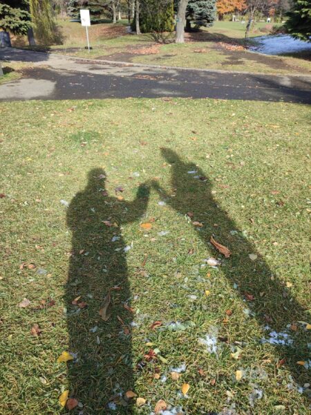 バーンスタインさまと私。