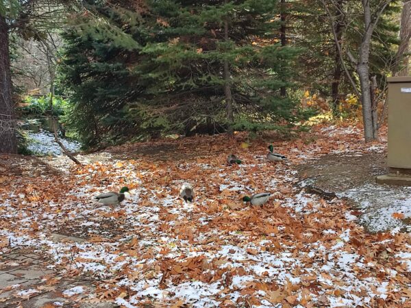 今のうちに腹ごしらえ。