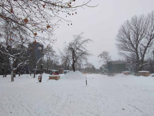 20日。木のまわりに雪山出現。