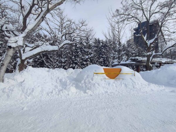 27日。別な何かができている。