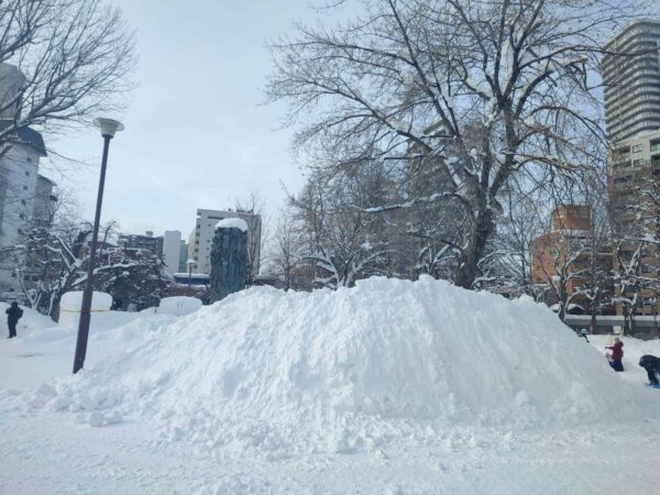 27日。木のまわりの雪山が育つ。