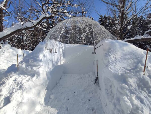 28日。これはあれですか？