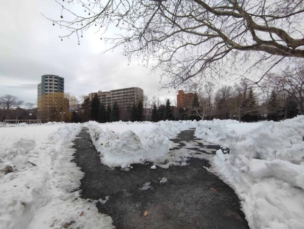 運命の分かれ道。