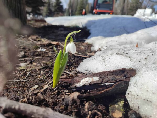 すき間からこんにちは。