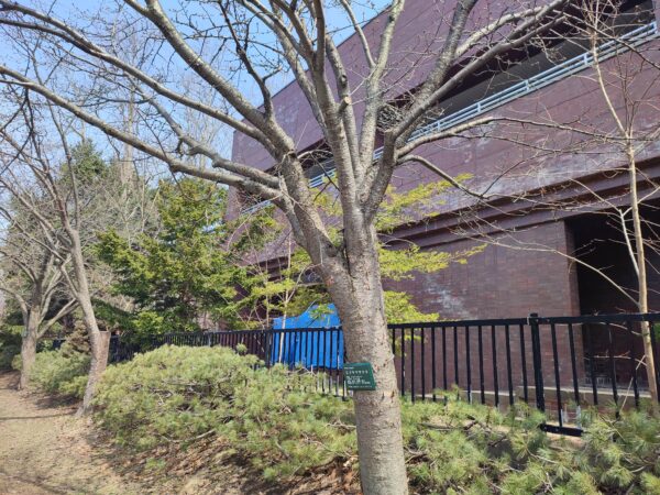 これはお名前見えちゃってる？