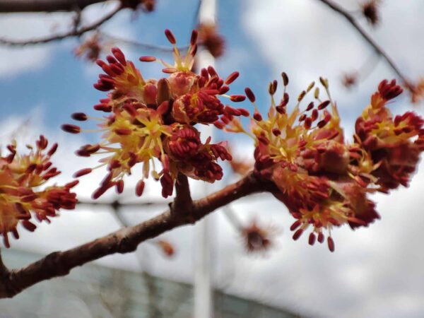 きれいでしょ。