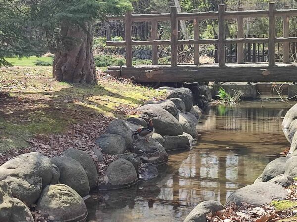 老化を気にするお年頃にはきついわよ。
