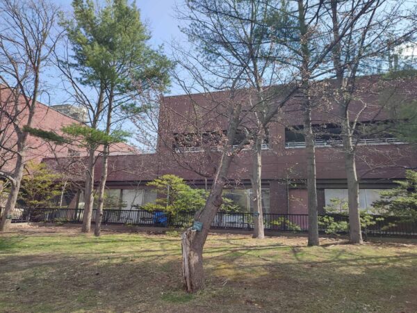 こちらは中島体育センターの裏