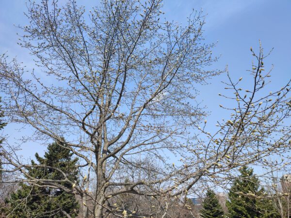 こちらはどなた？