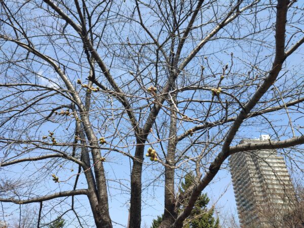 さてさて。こちらは？