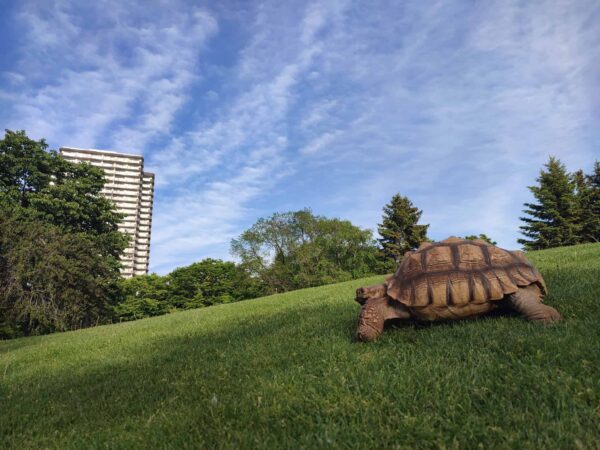 宣材写真ですか？