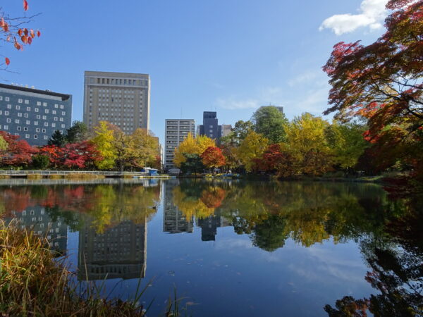 2026年10月29日紅葉の様子2
