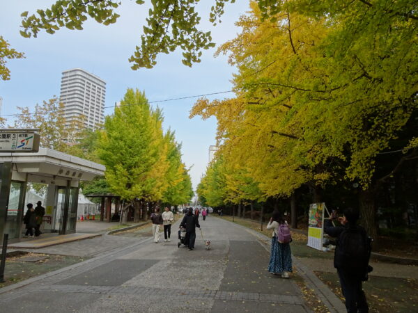 2026年10月26日紅葉の様子3