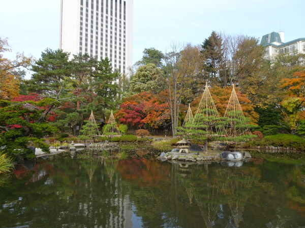 2026年10月26日紅葉の様子4