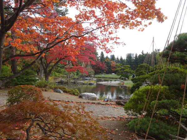 2026年10月26日紅葉の様子5
