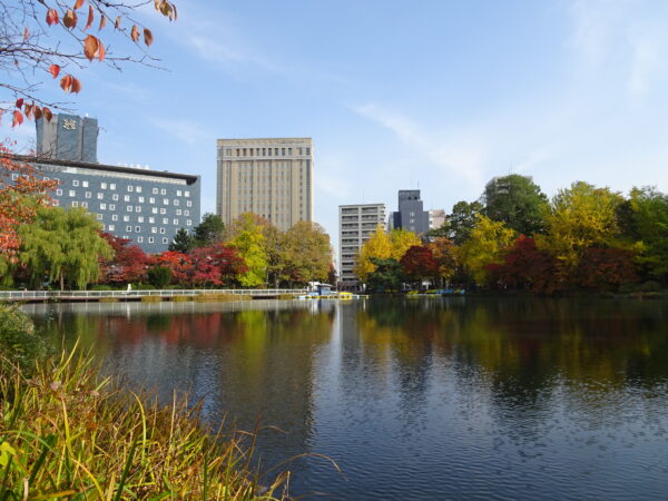 2026年10月26日紅葉の様子6
