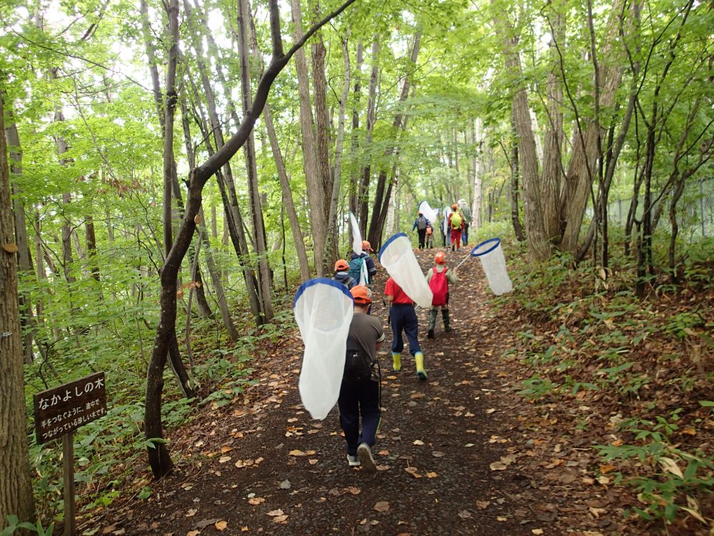 散策路を歩くヤンマ団の写真