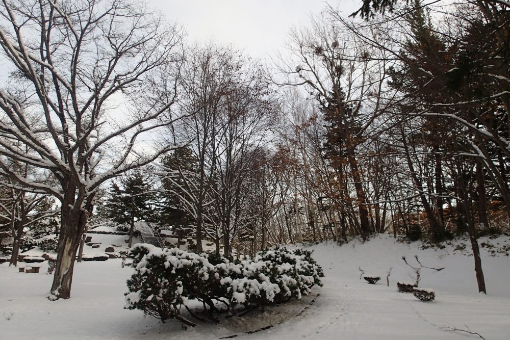 一面の雪景色に変わった園内の写真
