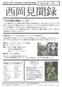 見聞録7月号(おもて）