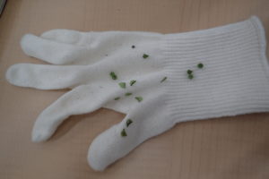 手袋に付いた引っ付き虫たち