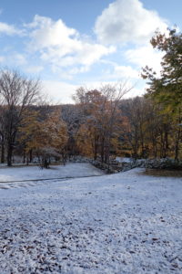初雪の降った園内