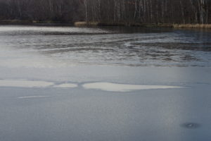 凍り始めた池の様子