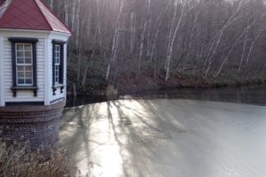 凍り始めた池の様子