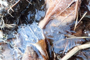 凍った水たまり